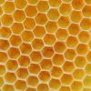 honeycomb-768x576 The Crunch Bar
